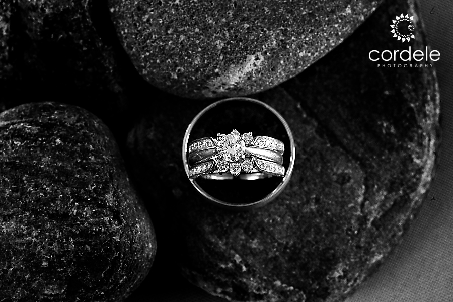 seacoast science center wedding photos