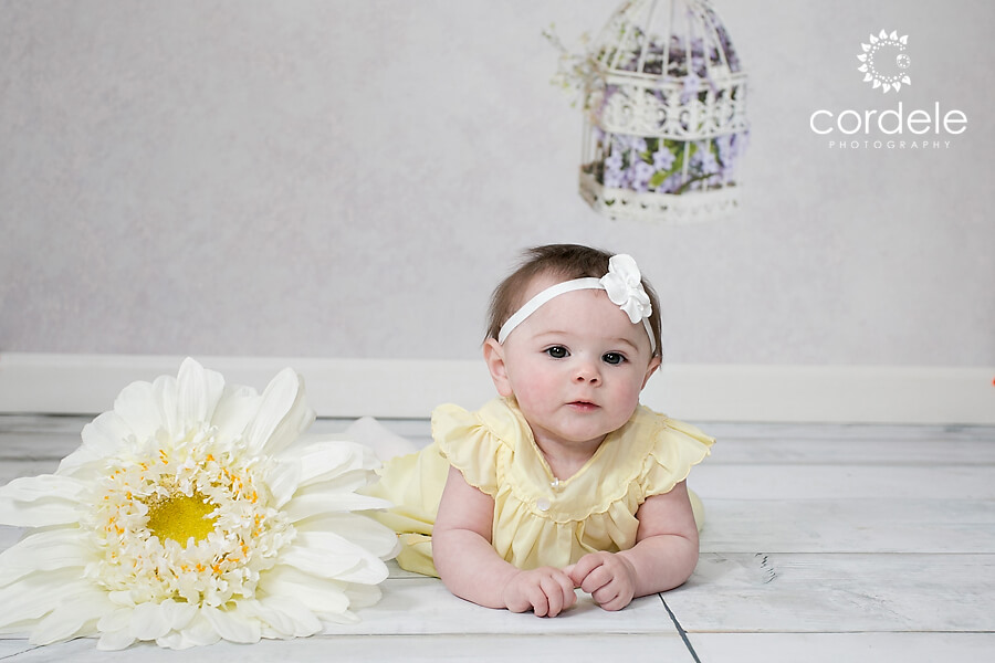 Spring Mini Sessions Reading MA